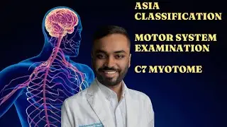 Asia classification-motor system examination-part-3-C7 myotome#aiimsdelhi#emergencymedicine#hospital