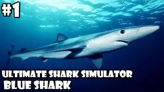 Ultimate Shark Simulator -Blue Shark- Android/iOS - Gameplay Part 1