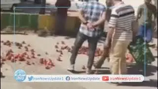 Orchardists leave their pomegranate production in Agriculture office in Kuhdasht, Lorestan; October