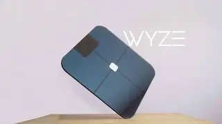Wyze Smart Scale Setup and Review