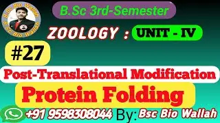 Unit 4 Protein Folding | Post Translational Modification | #zoology #video #bsc3rdsemester #bsc