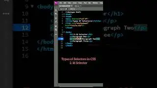 Types Of CSS Selectors | Id Selector | CSS #coding #css #css3