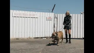 clovo - dogtooth (Official Music Video)