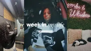 WEEKLY VLOG ♡ | home for winter break!
