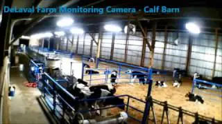 DeLaval Farm Monitoring Camera  FMC - Calf Barn