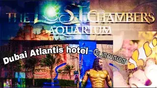 The Lost Chamber Aquarium Full Tour | Atlantis - The Palm,Dubai | An iconic 5⭐️ Hotel in Dubai 🇦🇪
