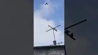I'm chasing pigeons. I'm waiting for advice.