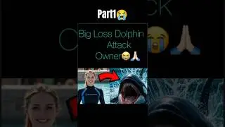 Big Loss Dolphin Attack A Girl Who Job For His Family Support😭#trending #emotional #fyp #viral