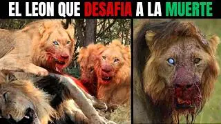 LEÓN – NÉMESIS: El Hijo Maldito de SCARFACE que Desafió su Destino y Reinó