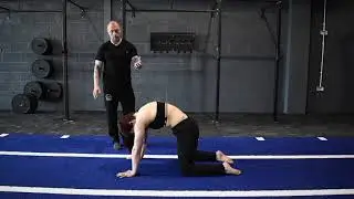 Spinal Waves