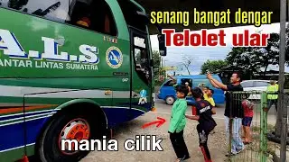 MANIA CILIK BELA BELAIN NUNGGU  TELOLET ALS 103 PELOR BOGOR
