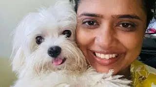 LIVE 🔴| Guddi | 2025  Animals Vlog Animals and Animal Fun! Pease donate for stray animal #pet #dog