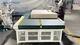 Automatic Tape Edge Machine ZLT-TE4A