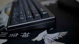 $120 Custom mechanical keyboard | Akko Mod005