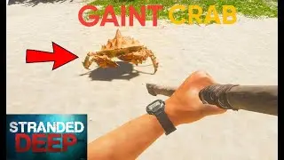 THIS CRAB WAS TRYING TO KILL ME | STRANDED DEEP GAMEPLAY PART2