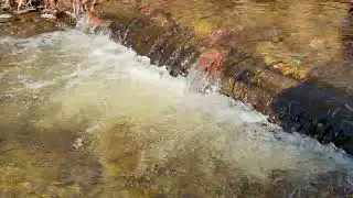 Small log across stream