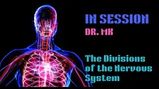 The Visual System: PSY390 Chapter 6 Overview