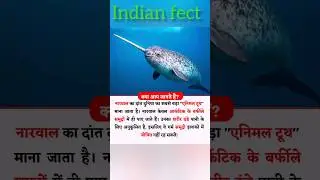 Amazing fact reels short video #factsinhindi