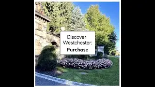 Discover Westchester: Purchase, NY | Luxury Living in a Serene, Scenic Setting