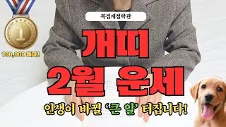 [2026년 개띠 2월 운세] 곧 인생이 바뀔 ‘큰 일’ 터집니다! 꼭 들으세요!