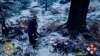 Follow the Butterflies - Find out where the butterflies are going - Hogwarts Legacy