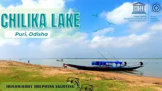 Chilika Lake | Irrawaddy Dolphins | Boating in the Second Largest Lake in India | Walk Another Mile