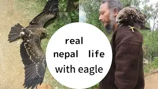 REAL NEPAL LIFE WITH EAGLE