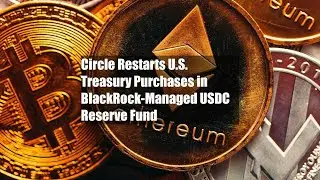 Circle Restarts U.S. Treasury Purchases in BlackRock-Managed USDC Reserve Fund