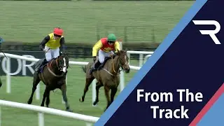 Just in time! JUSTICIALISM flies home to snatch victory on the line at Naas - Racing TV