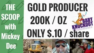 200k oz Gold Producer Hummingbird Resources / Only $.10 / share - Mickey Dee corrects the POTUS