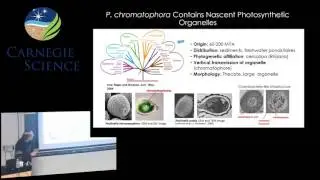 Arthur Grossman - From the Evolution of an Organelle to Photosynthetic Function