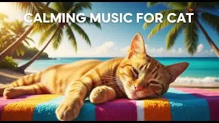 Help Your Anxious Cat 🐱 : 12 Hours of Calming Sounds for Relaxation, Sleep, and Healing