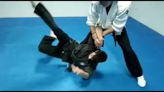 T&Eacute;CNICA DEL D&Iacute;A: doble agarre por la espalda, escape, control y manipulaci&oacute;n, hapkido techniques