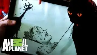 &iexcl;Al gato Freddy Krueger no le gusta ser tocado! | Mi gato endemoniado | Animal Planet