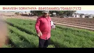 UNILINK PRODUCT BEST RESULT IN CHICKPEAS