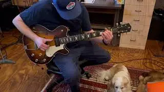 Star - Stealers Wheel - on a Capozzoli Cassini  Guitar