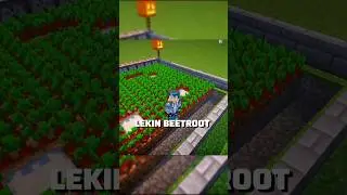 Unknown Uses Of Beetroots in Minecraft 😱