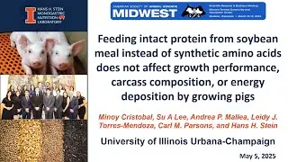 Feeding intact protein