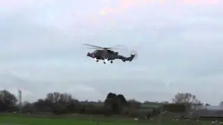 Wildcat AH1 landing at RNAS Yeovilton (26/11/15)