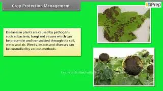 Crop Production Management | Improvement in Food Resources  | Science | Class 9th | iPrep