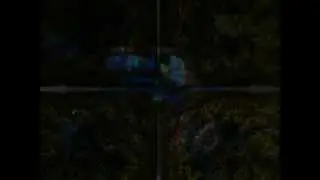 Journey to Psy - Part 2
