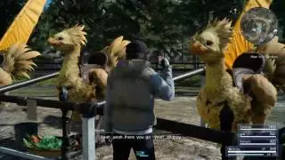 FINAL FANTASY XV_Noctis pet chocobo