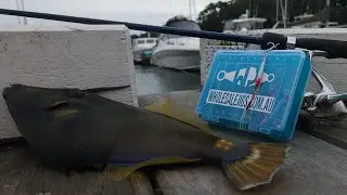 How To Micro Jig Marinas - Fishing Verticle Structure with micro jigs