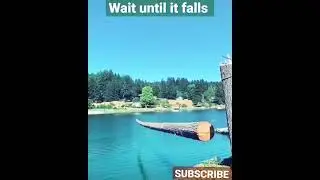 What happens when tree falls in the lake? #shorts || Tech is future.