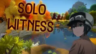 Solo witness