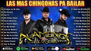 Mix Los Alameños De La Sierra 🎵 Cumbias y Huapangos Para Bailar