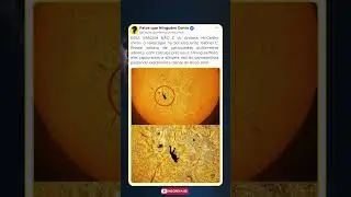 A foto mais improv&aacute;vel j&aacute; registrada #curiosidades #mist&eacute;rios
