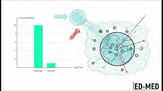 Why the Sky Looks Blue? 🌤️ | Rayleigh Scattering Explained in 30 Seconds