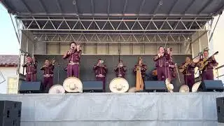Alta y Delgadita - Mariachi Los Camperos