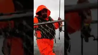 Ловля кеты на воблер 95 мм (17 гр) от Mr. Musurok